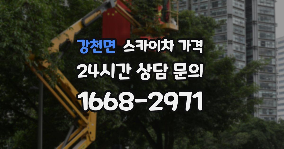 강천면 스카이차 가격