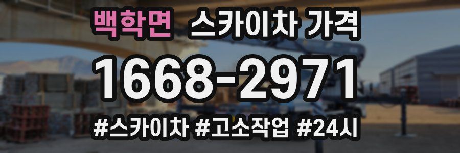 백학면 스카이차 가격