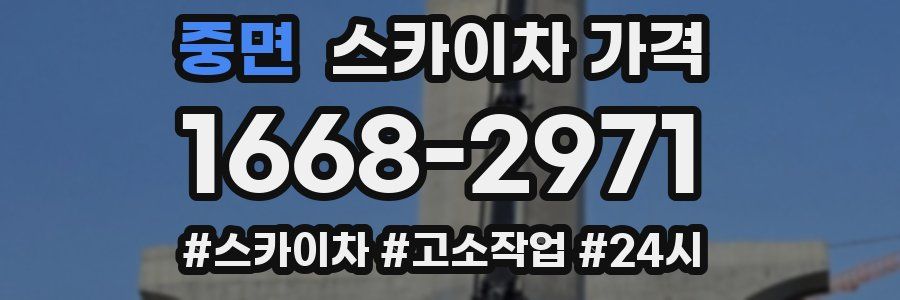중면 스카이차 가격