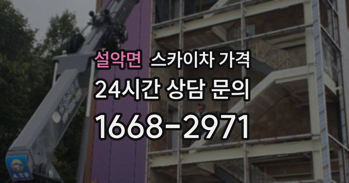 설악면 스카이차 가격