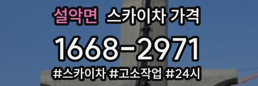 설악면 스카이차 가격