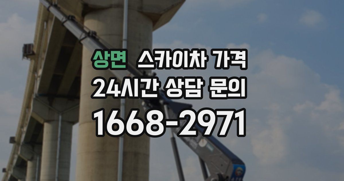상면 스카이차 가격