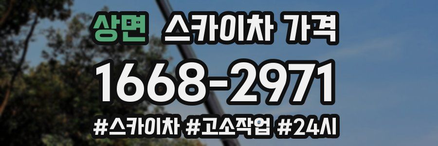 상면 스카이차 가격