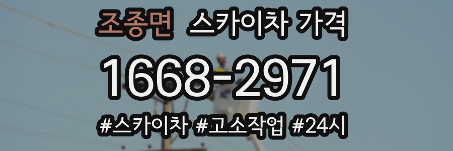 조종면 스카이차 가격