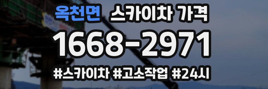 옥천면 스카이차 가격