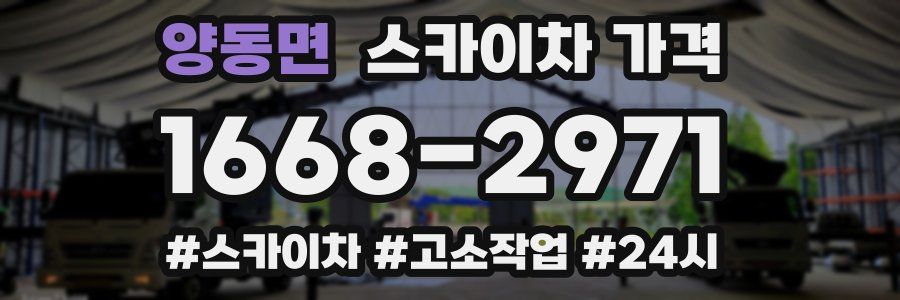 양동면 스카이차 가격