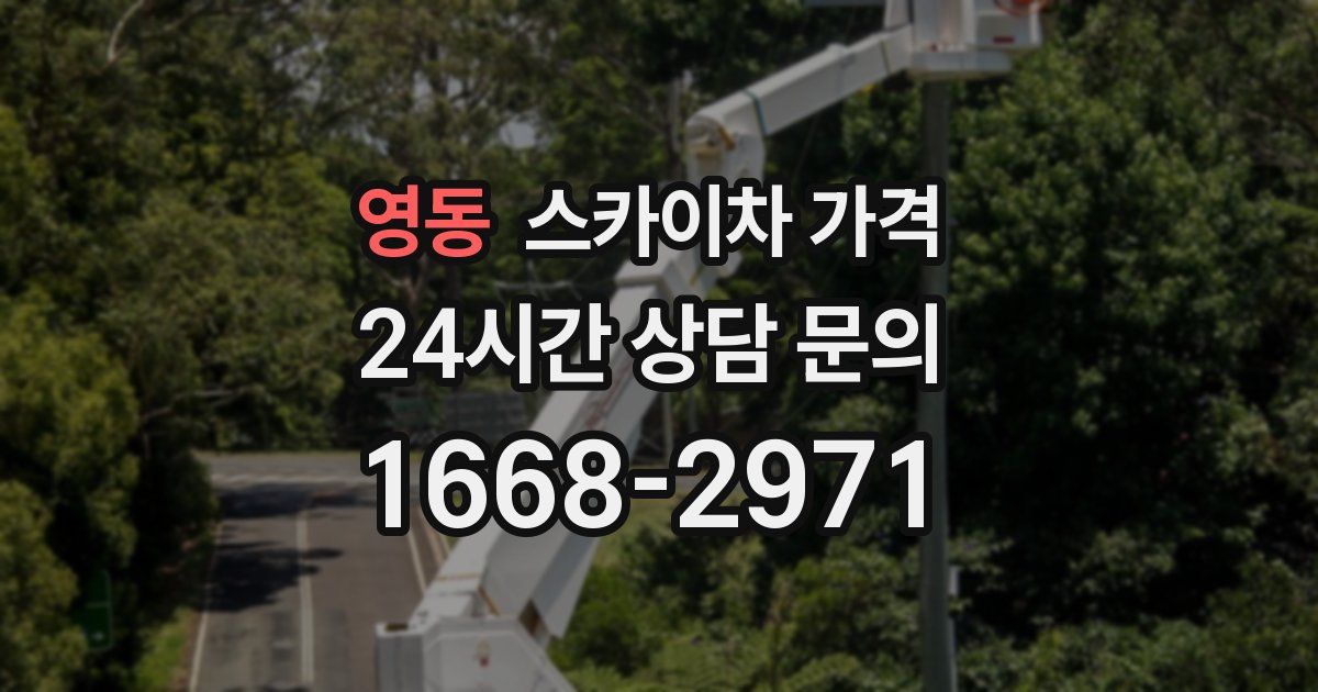 영동 스카이차 가격