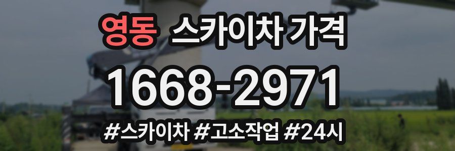 영동 스카이차 가격