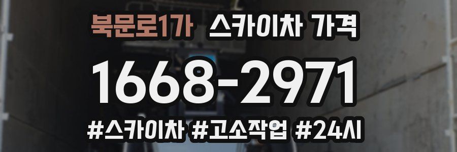 북문로1가 스카이차 가격