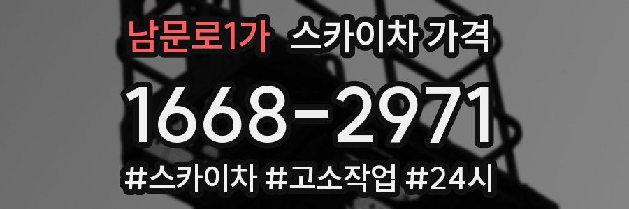 남문로1가 스카이차 가격