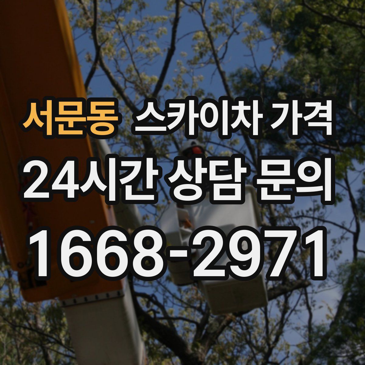 서문동 스카이차 가격