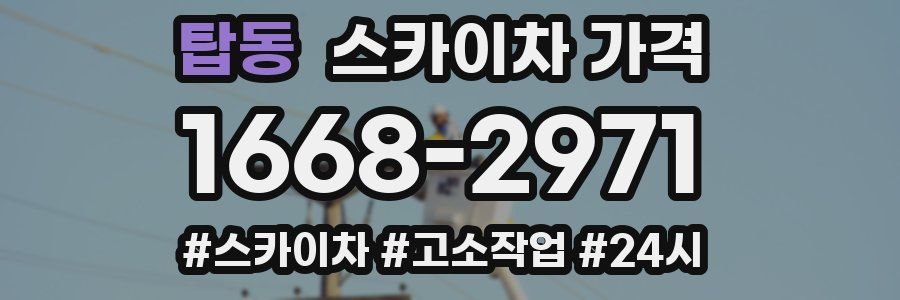 탑동 스카이차 가격