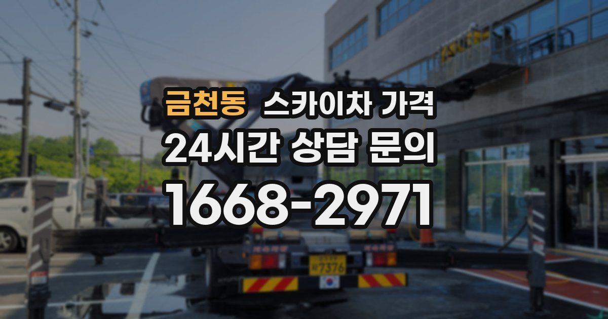 금천동 스카이차 가격