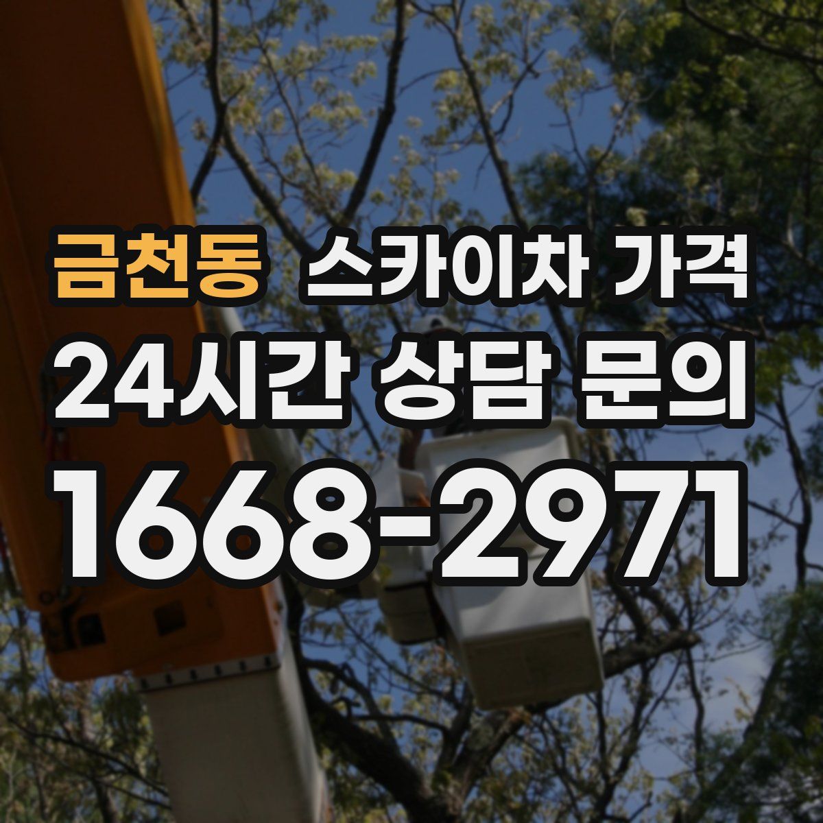 금천동 스카이차 가격