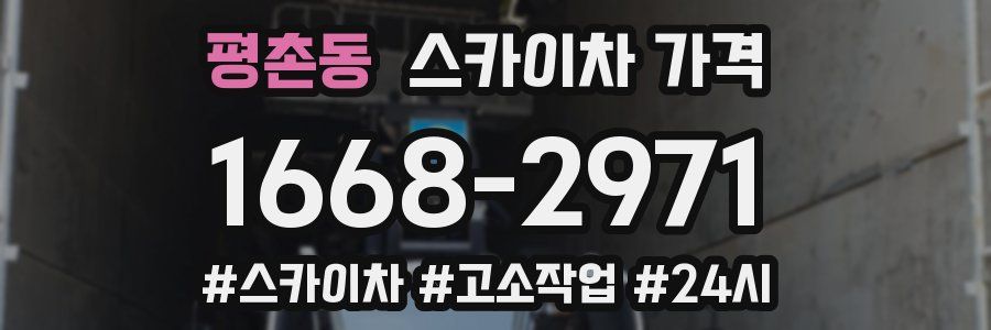 평촌동 스카이차 가격