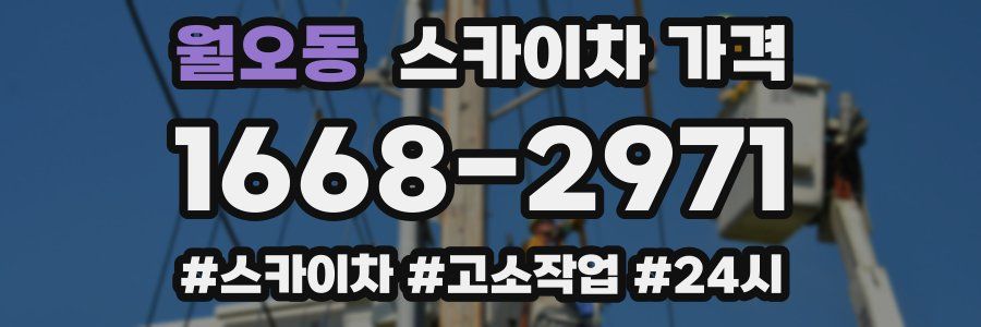 월오동 스카이차 가격