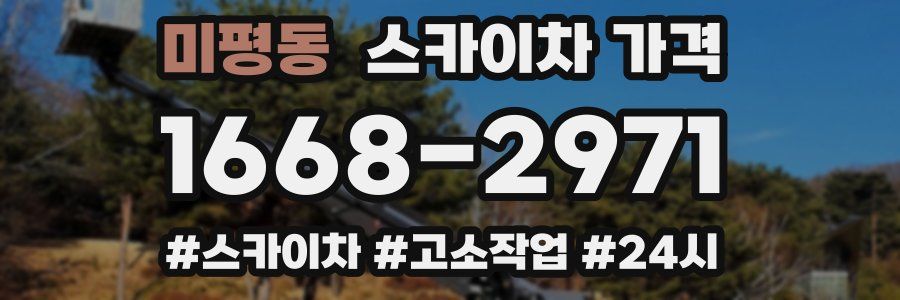 미평동 스카이차 가격