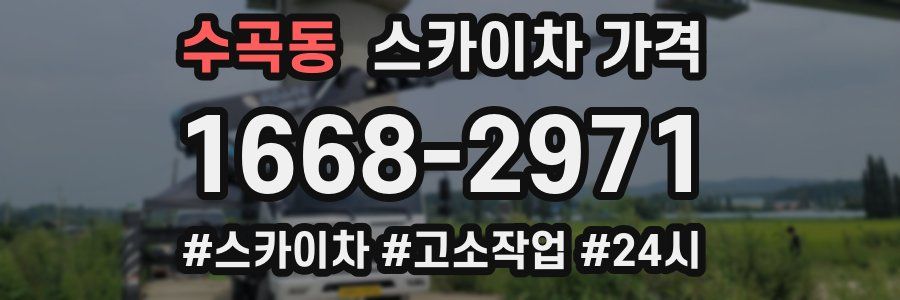 수곡동 스카이차 가격