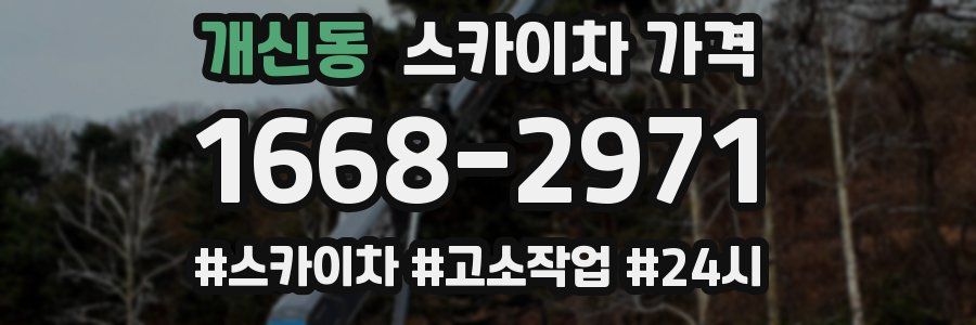 개신동 스카이차 가격