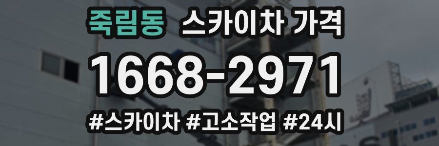 죽림동 스카이차 가격