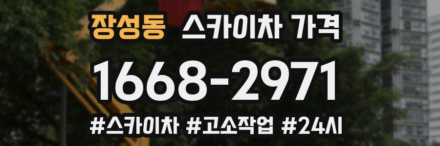 장성동 스카이차 가격