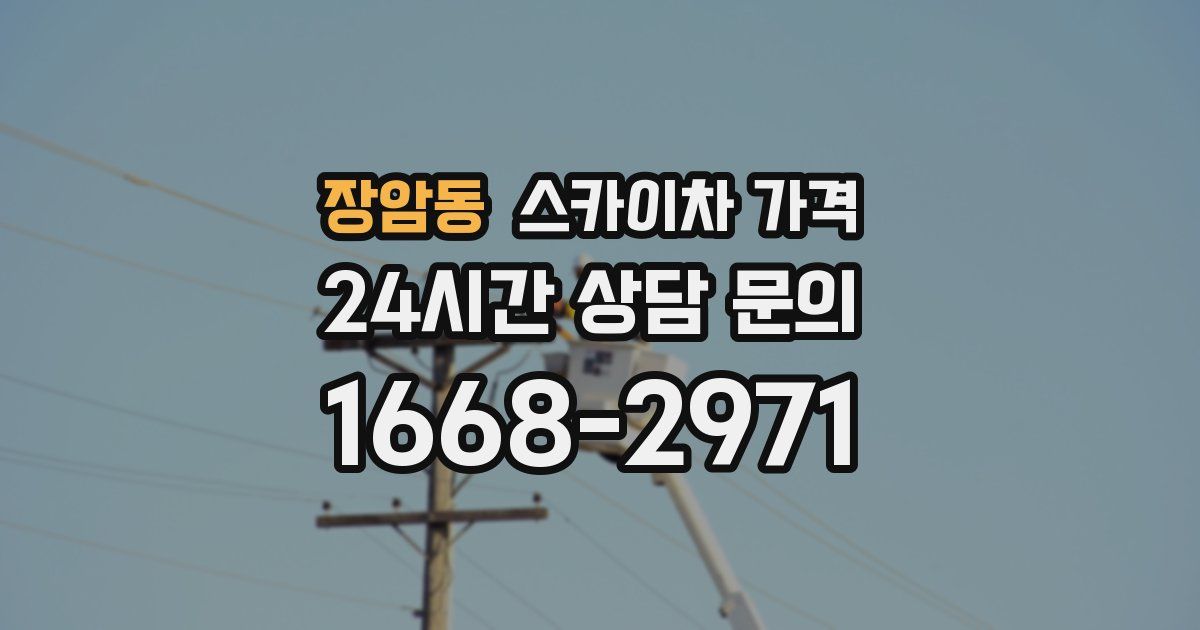 장암동 스카이차 가격