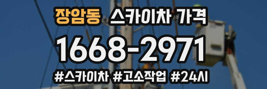 장암동 스카이차 가격