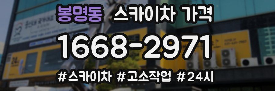 봉명동 스카이차 가격