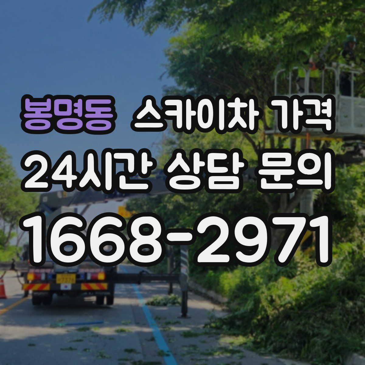 봉명동 스카이차 가격