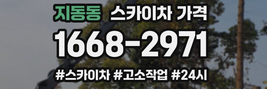 지동동 스카이차 가격