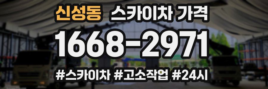 신성동 스카이차 가격