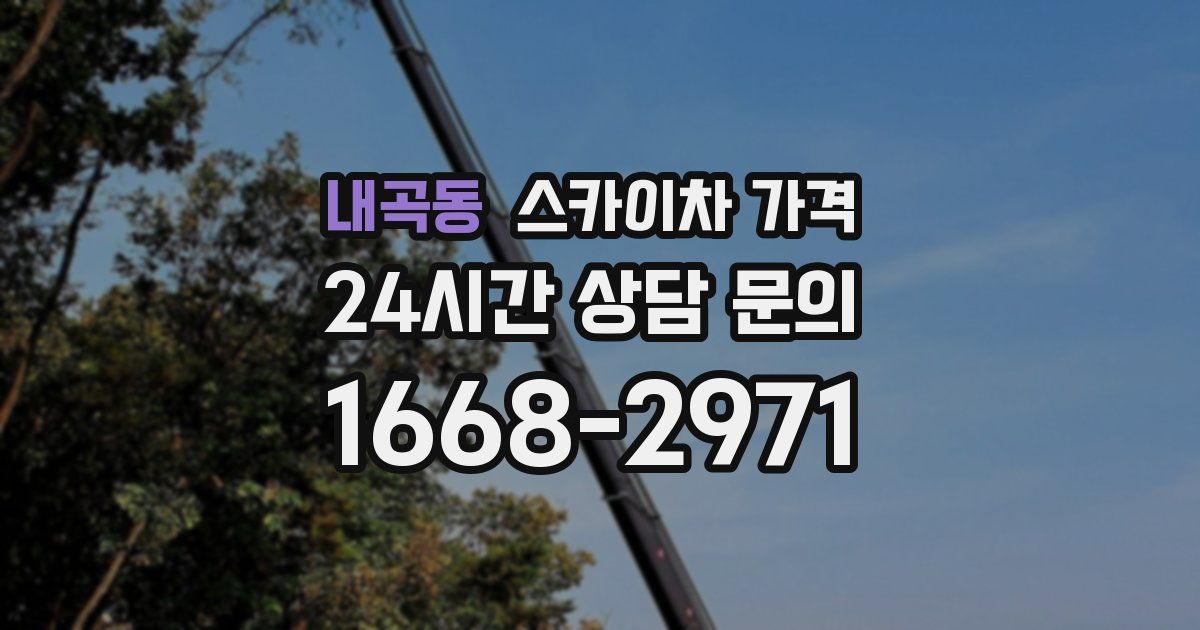 내곡동 스카이차 가격