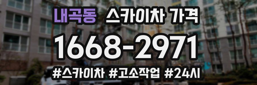 내곡동 스카이차 가격