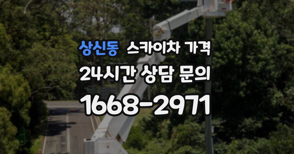 상신동 스카이차 가격