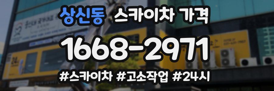 상신동 스카이차 가격