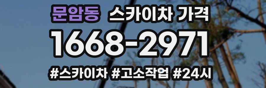 문암동 스카이차 가격