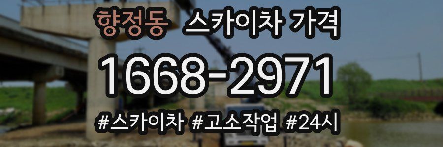 향정동 스카이차 가격