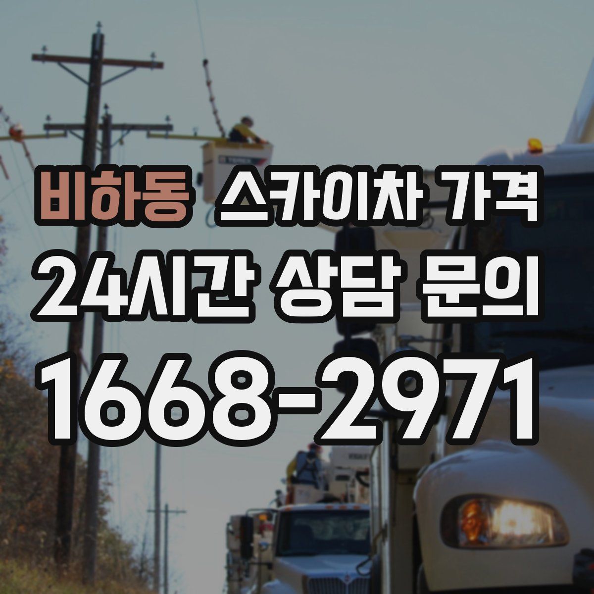 비하동 스카이차 가격