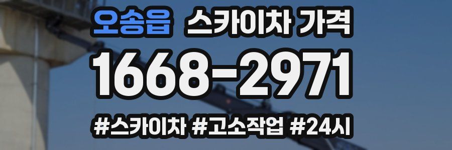 오송읍 스카이차 가격