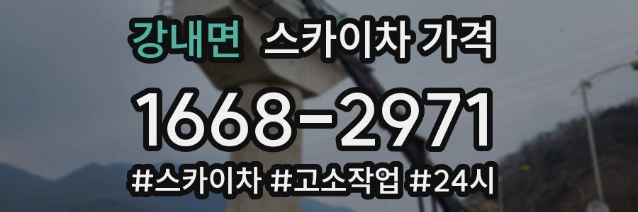 강내면 스카이차 가격