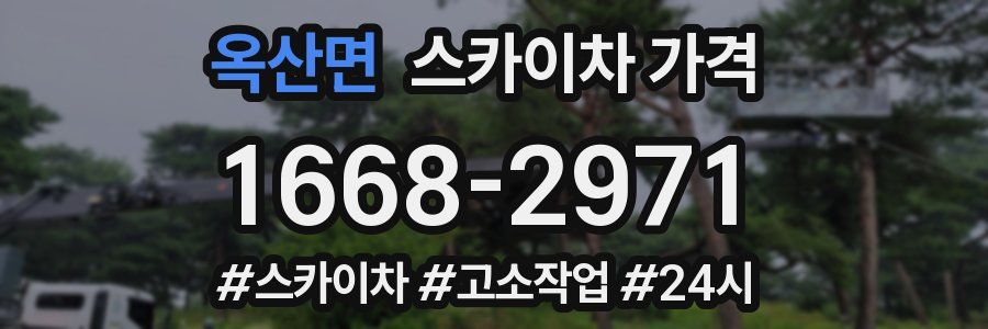 옥산면 스카이차 가격