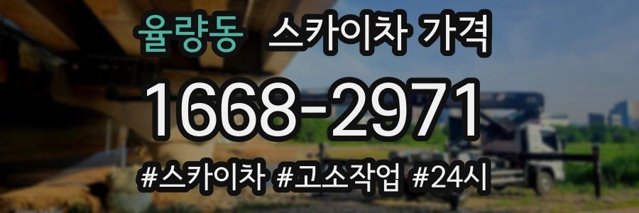 율량동 스카이차 가격