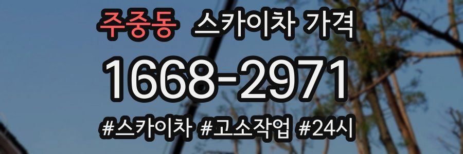 주중동 스카이차 가격