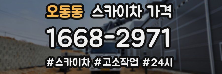 오동동 스카이차 가격