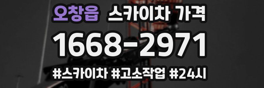 오창읍 스카이차 가격