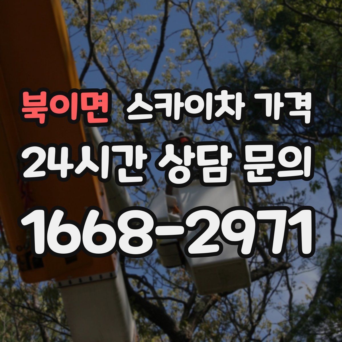 북이면 스카이차 가격