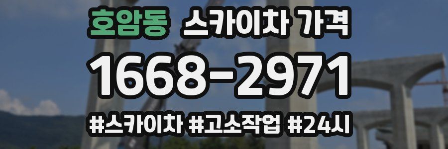 호암동 스카이차 가격