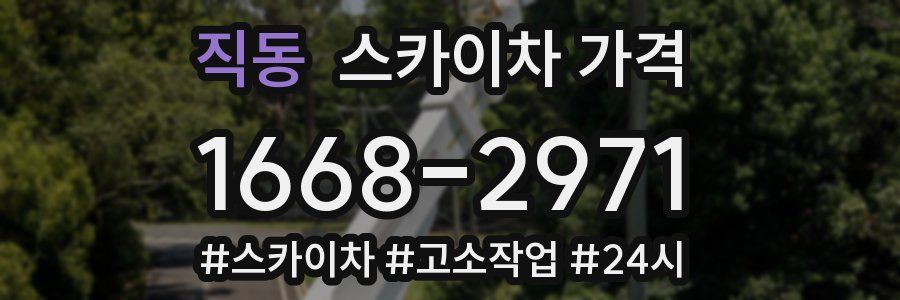 직동 스카이차 가격