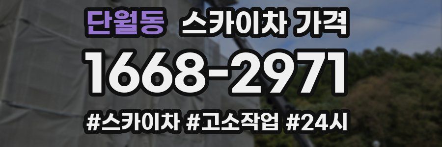 단월동 스카이차 가격