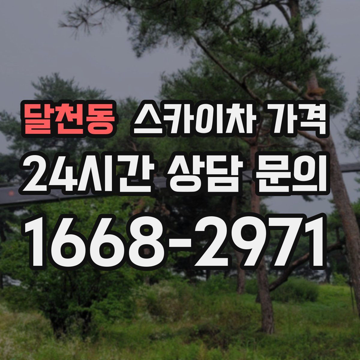 달천동 스카이차 가격